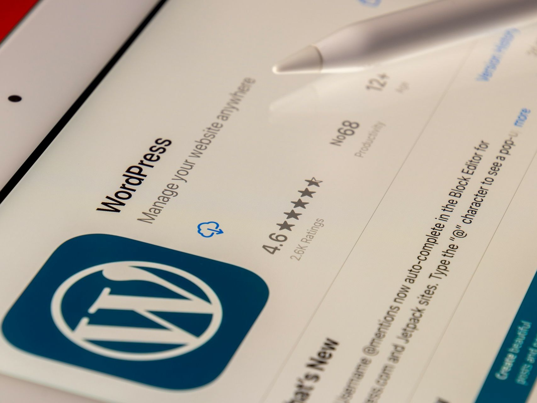 WordPress Developers for Custom Website Solutions